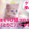 【グッバイ！裸の王様】お客様をブログで10倍 「虜（とりこ）」にするには