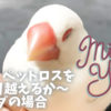 Thumbnail of related posts 132