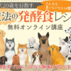 【総合プロデュースのご感想】「やっと本物のプロに出会えました」京都府・発酵犬ごはんインストラクター 林さと美さん