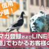 信頼・信用構築が鍵！メルマガ登録およびLINE＠登録「経路」でわかるお客様の心理